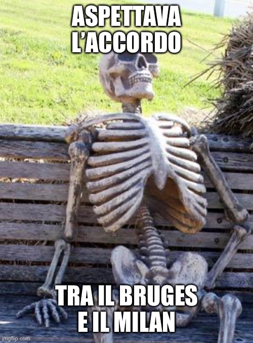 087816A8-BA75-46E1-AA62-BA42A339F564.jpeg
