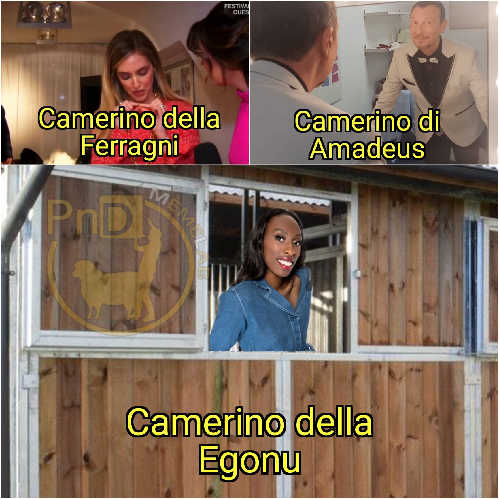 1675959526316.jpeg