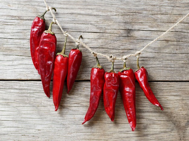 31_Epica_peperoncino_portaforuna-new.jpg