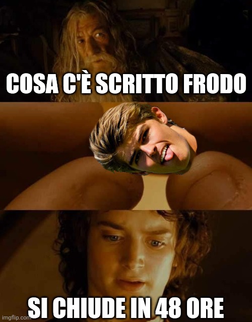 6oa3qf.jpg