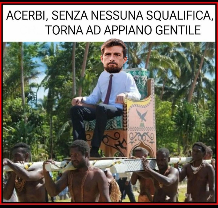 acerbinosq_1.png