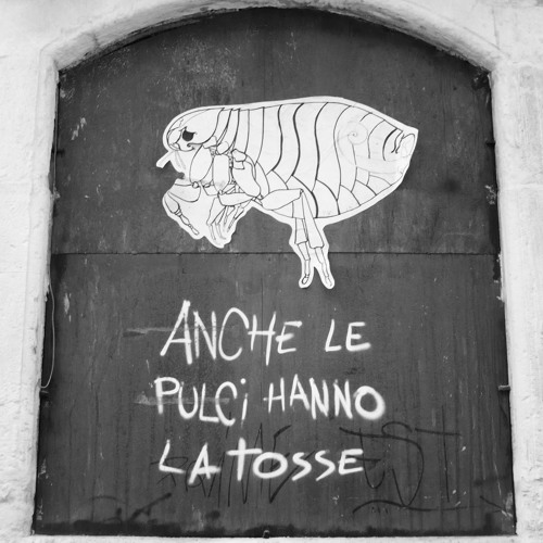 artworks-000095965069-apdrqw-t500x500.jpg