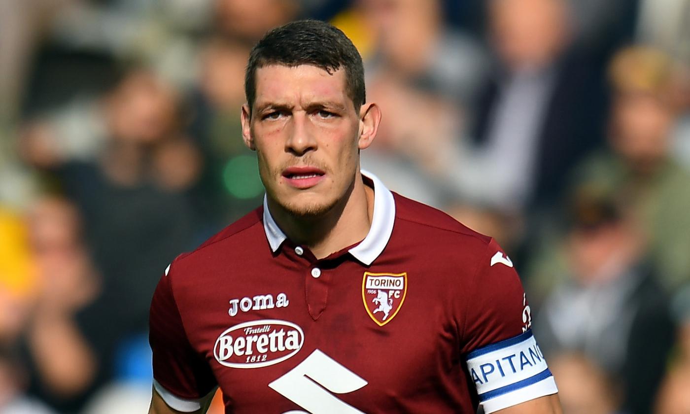 belotti.jpeg