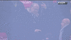 bloggif_64aff1b81c4a6.gif