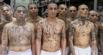 -gang-members-mara-salvatrucha-ms-13-18th-440nw-15375024l.jpg