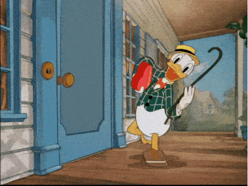 IMG_0891.gif