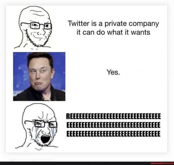 musk.jpg