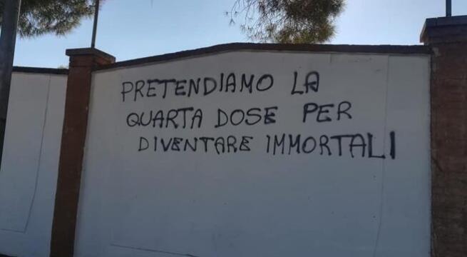 quarta dose.jpg