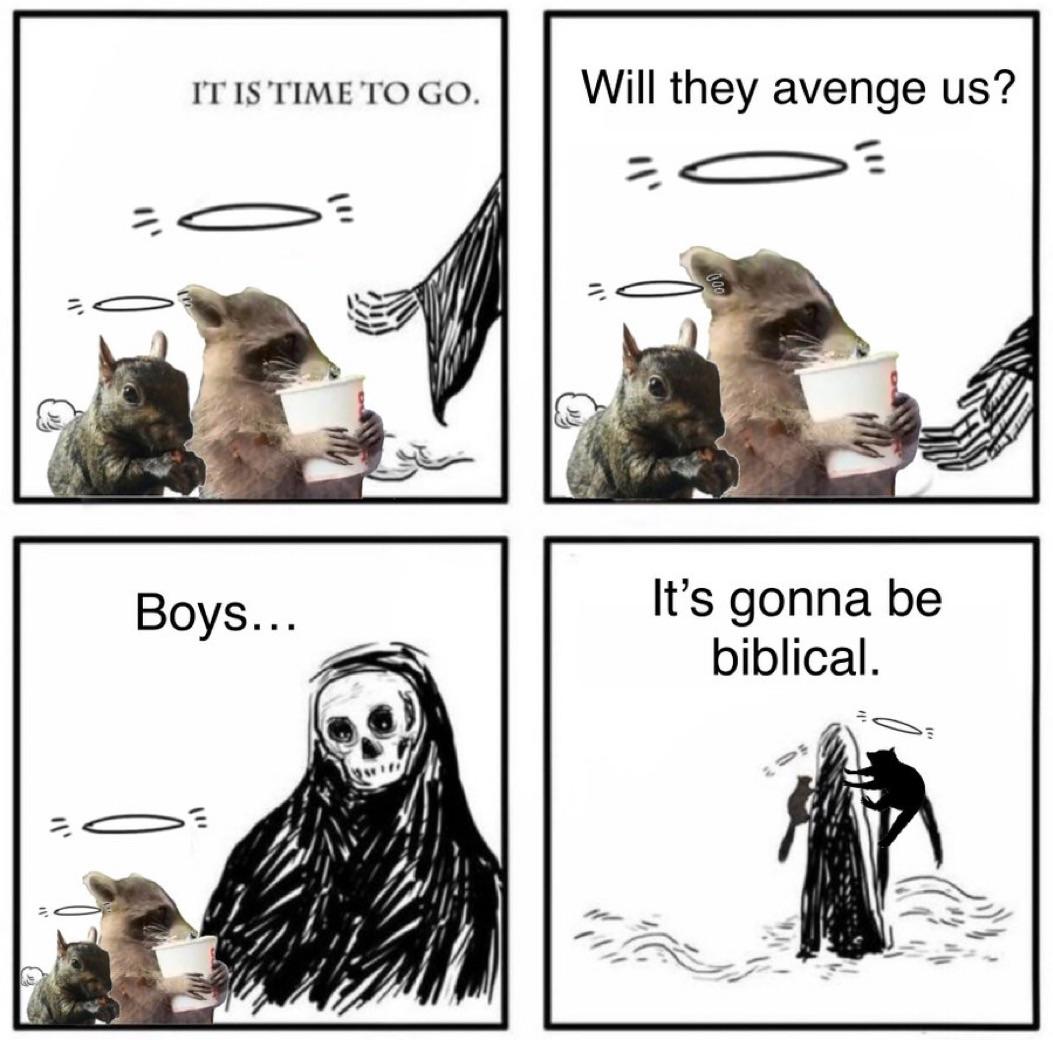 wtyl3crdm8zd1.jpg