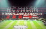 misterpippo7